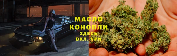 ECSTASY Богородицк
