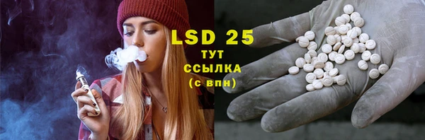 ECSTASY Богородицк