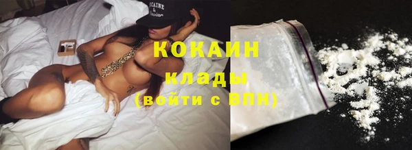 ECSTASY Богородицк