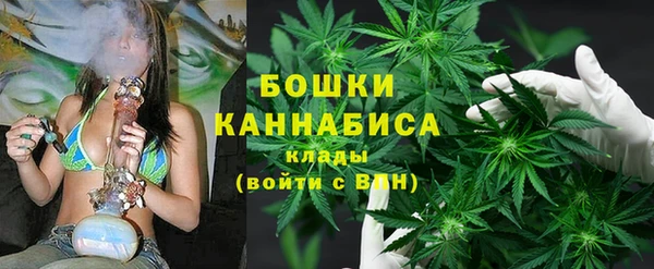 ECSTASY Богородицк