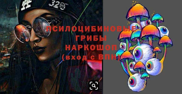 ECSTASY Богородицк