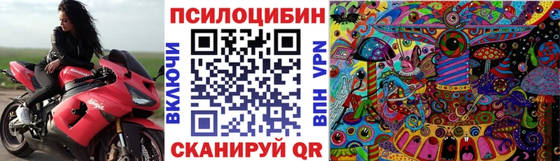 где продают   Санкт-Петербург  Псилоцибиновые грибы Psilocybe 
